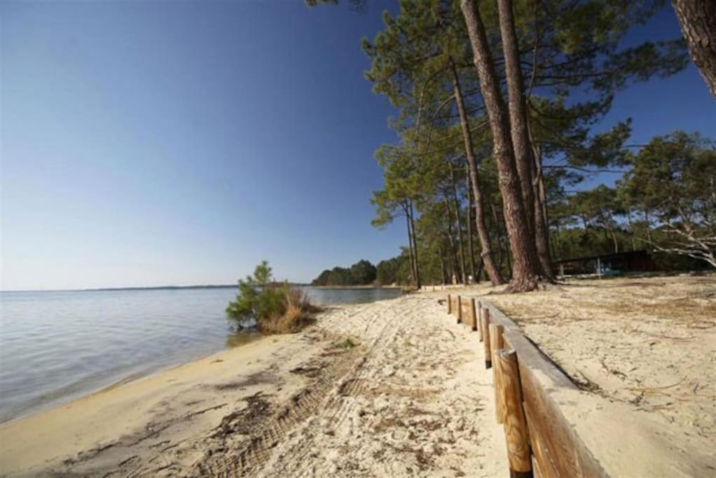 Apt T2 Calme Sur Golf, Piscine, Ocean 10 Min En Velo Lacanau Exterior foto