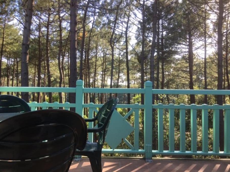 Apt T2 Calme Sur Golf, Piscine, Ocean 10 Min En Velo Lacanau Exterior foto